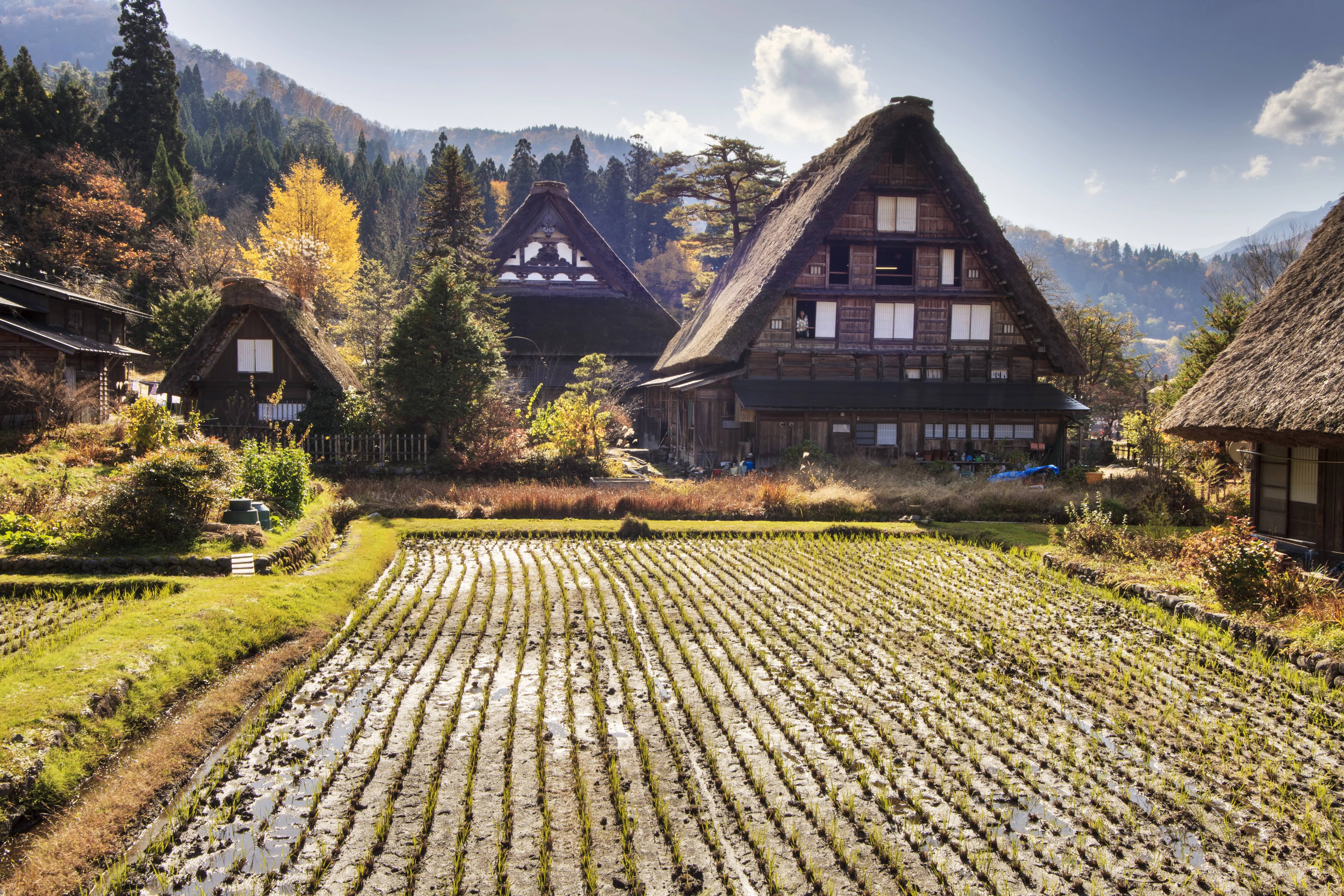 Ukryte skarby Japonii blog (2).jpg